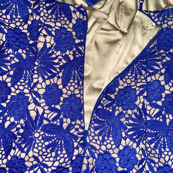 Bardot | Tayla Royal Blue Lace Dress - Picture 6 of 6